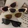 Sonnenbrille 2024 Y2K für würzige Mädchen Katzenauge Retro -Brille Trendy Vintage Small Frame Eyewear Designer Marke Sonnenschutzschutzbrille