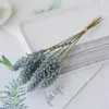 Dekorativa blommor 31 cm vete öratblomma naturligt torkat för bröllopsfest dekoration diy hem bord juldekor bukett