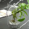 Vases 1PC Verre Vase Hydroponic Vase Transparent arrangement de florais Art Desktop Planter Office Office Garden décoration Home Decoration