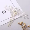 Haarclips Kristallperlen elegantes Accessoire Schöne Brautkamm Handgemachte weibliche Eleganz, die sich nachgefragt hat, traditionelle Chinesisch