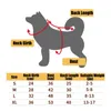 Hundekleidung Haustier liefert Hoodie Solid Color Mode Kleidungsdesigner Kleidung Accessoires