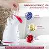 Face Steamer Nano Steam Compress Heating Sprayer Skin Moisturizing Humidifier Pore Deep Cleaning Water Hydration Nebulizer 240409