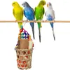 Andere Vogelversorgung Futterspielzeug farbenfrohe Eiscreme -Kautier für Papageien Chinchillas
