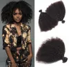 Brasileiro Afro Kinky Curly 100 Humanos humanos não processados Virgem Tecida Remy Extensões de cabelo humano