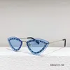 Lunettes de soleil 2024 Cat Eye Network Fashion Network Celebrity Blog Star Rivet Beach Brand Design Trend Glasses