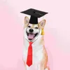 Vestuário de cachorro pet doutorado decoração de gravata conjunto de graduação em festas de puppy coliéster