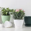 Home Garden Pots with Tray Planters Flower Plant Pots Multi Color Flower Seedling Nursery Pots with Tray for Outdoor Indoor FU 240409