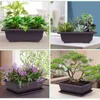 Träningskrukor med bricka plast Bonsai Plants Pot Square för blommor saftiga plastväxtkrukor med fyrkantiga brickor Planter 240409