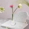 Vases Hydroponic Vase Flower Modern Water Planting Glass Bud Desktop Planter For Office Bookshelf Balcony