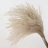 Dekorative Blumen getrocknete Pampas Gras Natürliche Pflanzen Bouquet Hochzeitsprografie Requisiten Boho Wohnkultur El Wohnzimmertisch Dekoration