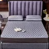 Carpets Graphene Natural Latex Mattress Protection Simmons Bed Winter Soft Cushion Thin