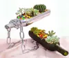 Creative Wine Bottle Planter Glass Terrarium för saftig kaktusluftsplant som skär vinflaskor i halva blomkruka alkoholgåvor2126344