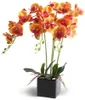 Dekoracyjne kwiaty Wysokiej jakości sztuczna bonsai orchidea w wazonie kwiatowym do dekoracji domowej