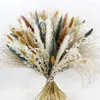 Decoratieve bloemen pampas gras boeket van geperste gedroogde tafel accessoires huizendecoraties landelijke bruiloftsmaterialen droog