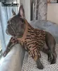 Vêtements pour chiens de mode Pipy Puppy Sweater Sweatrez French Bulldog Pug en peluche Veste pour chiens Cat en hiver Garder au chaud GKC03 Y200326540427