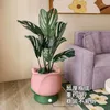 Vases Tulip Floor Grand arrangement de floraison en vase Creative Living Room TV Cabinet Sofa Decoration