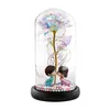 Fleurs décoratives Ornement en plastique Lantern Couple de personnage de personnage décor de la maison en verre LED romantique différentes lumières colorées