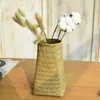 Vases Visage Ornements Oreilles d'orge Oreilles de fleurs séchées Pots de paille Flower Pot