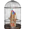 Andere Vogelversorgung Futterspielzeug farbenfrohe Eiscreme -Kautier für Papageien Chinchillas