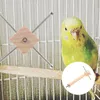 Inne zaopatrzenie ptaków żuć zabawki Parakeet Feeders Parrotaking Drewniane owocowe widelec karmiący