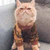 개 의류 애완 동물 고양이 의상 벨벳 소프트 스웨터 새끼 고양이 강아지 패션 코트 재킷 작은 옷 테디 슈나우저 잠옷 용품