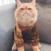 Vestuário para cães roupas gatos de animais de estimação de veludo suéter macio gatinho filhote de casaco de moda moda roupas pequenas roupas de pijamas de pijama de pelúcia de pelúcia