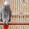 Inne zaopatrzenie ptaków żuć zabawki Parakeet Feeders Parrotaking Drewniane owocowe widelec karmiący