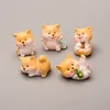 Estatuetas decorativas 5 PCs desenho animado fofo Akita cão estatueta micro paisagem decoração de casa miniatura de fadas de fadas acessórios de decoração moderna moderna