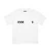 EssentialStshirt Mens Designer T Shirtu