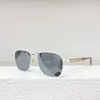 Lunettes de soleil Personnalisés Double Bridge Pilot Style Titanium Fashion Design UV400 Men Femmes TRENDY SL665 SUN VERRES