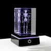 Rzeźby kryształowy laser 3D grawerowany ludzki anatomiczny szkielet sześcianowy model statua anatomia anatomia neurologia neurologia dary naukowe