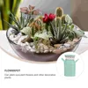 Vases Succulent Pots Planteur Round Vase Retro Decor Flowerpot Mini Bonsai Gardening