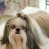 Clip per capelli di abbigliamento per cani Accessori per toelettatura topknot carini per cagnolini