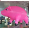 10m de comprimento (33 pés) com atividades ao ar livre de navio livre de soprador, gigante de publicidade Balão de hélio de porco voador para venda