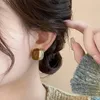 Boucles d'oreilles étalon 2024 Bloc coloré Maillard pour l'automne et l'hiver: bijoux de femmes de style élégant de luxe unique.