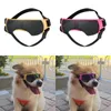 Dog abbigliamento occhio per animali domestici Funny Cat Light Frame Sunghi Summer Party per