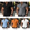 Chemises décontractées pour hommes Cold Collard Blouse Blouse Boulied Down Fitness Muscle Muscle Polyester Couleur solide régulière