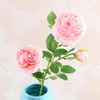 Fleurs décoratives 65 cm artificiels 3 têtes Rose Rose Silk Fleur de pivoine occidentale pour la valentin Mariage d'anniversaire de fête décoratio floral