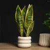 Flores decorativas de 32/37 cm de plantas suculentas artificiais Sansevieria tigre interno de peles tropicais de cobra de cobra tropical