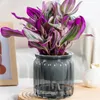 Plantes hydroponiques succulentes pot auto-arrosage du pot de fleur en intérieur mini jardinière pots de table de table de table de fleur de fleur jardin bonsaï décor 240409