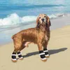 Hondenkleding 4 pc's laarzen huisdier schoenen ademen puppy zomer holle beschermer anti-slip