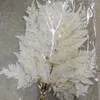 Dekorative Blüten 10 PCs getrocknete Blumen erhalten natürliche Pflanzen frische alpine Schafzahnblatt künstlich für Dekoration Boho Decor Pampas