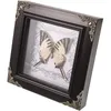 Frames Butterfly Specimen Po Frame Decor Wall Hanging Framed Desktop Display Plastic Pendant Household Decoration Office Insect