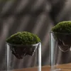 Vasi di vetro Vaso per fiori di fiore centrotavola fiore decorazione per matrimoni da centrotavolatterota