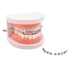 1 Pack Decoration Temporary Tooth avec support de fil métallique et accessoires de pratique de ligature orthodontique pour les étudiants dentaires 240412