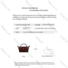 2024 Y2K Women Nowa wiosenna jesień wszechstronna mini torebka moda nisza designerska torebki na torebki i torebki designerskie torby 10a