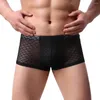 Onderbroek Transparant kanten mannelijke slipjes katoenen boksers comfortabel ademende heren ondergoed trunk merk shorts man boxer