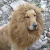 Одежда для собак регулируемая шляпа для собак и кошки эмуляция львиной волосы грива шарф Хэллоуин макс. 80 см. Окружность головы