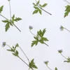 Kwiaty dekoracyjne 60PCS Wciśnięte suszone geranium Wilfordii STEM LEAF Flower Herbarium żywica epoksydowa karta biżuterii Zakładka Zakładka Fabena