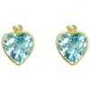 Boucles d'oreilles STAD REAL 925 SIRGE STERLING 14K Gold Blue Heart Zircon For Women Piercing Luxury Jewelry Money